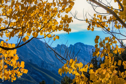 autumn leaves on blue sky and mountains background