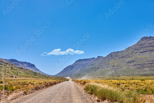 Path, mountain and nature with growth by blue sky, plants and climate change in conservation. Landscape, sustainable ecology and journey with trails for hiking, trekking and adventure in Switzerland