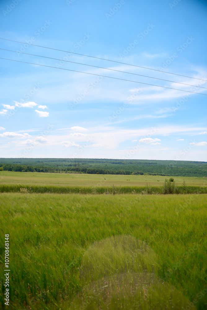 Obraz premium field and blue sky