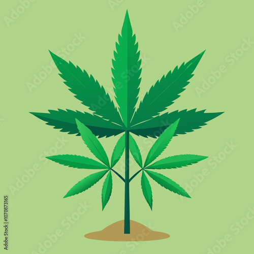 marijuana