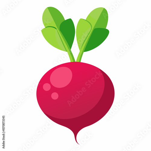 illustration of radish