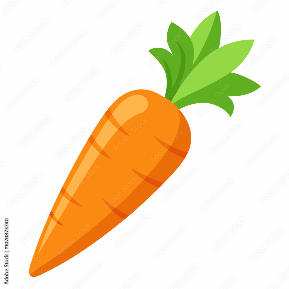 illustration of a carrot illustration of a carrot