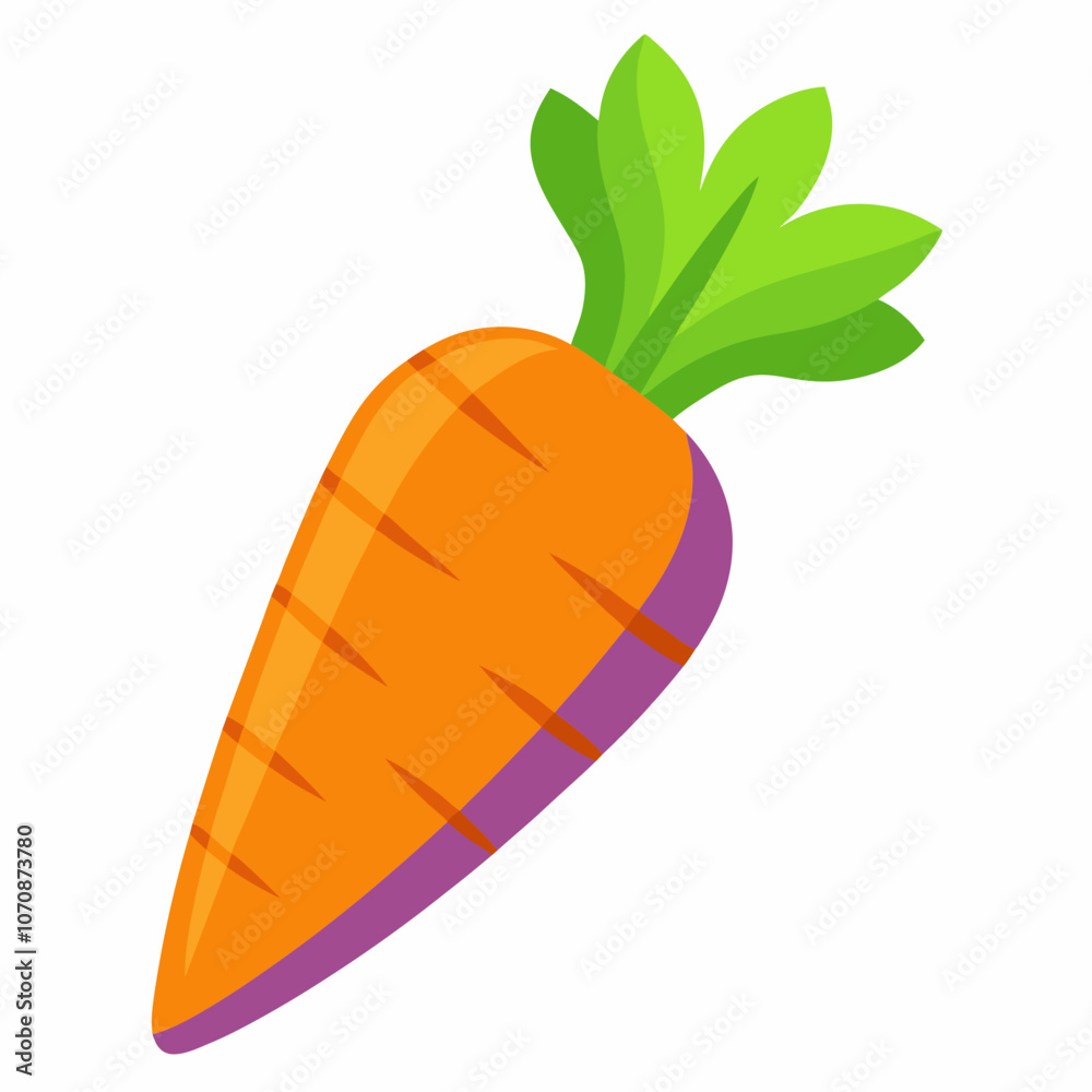 illustration of a carrot illustration of a carrot