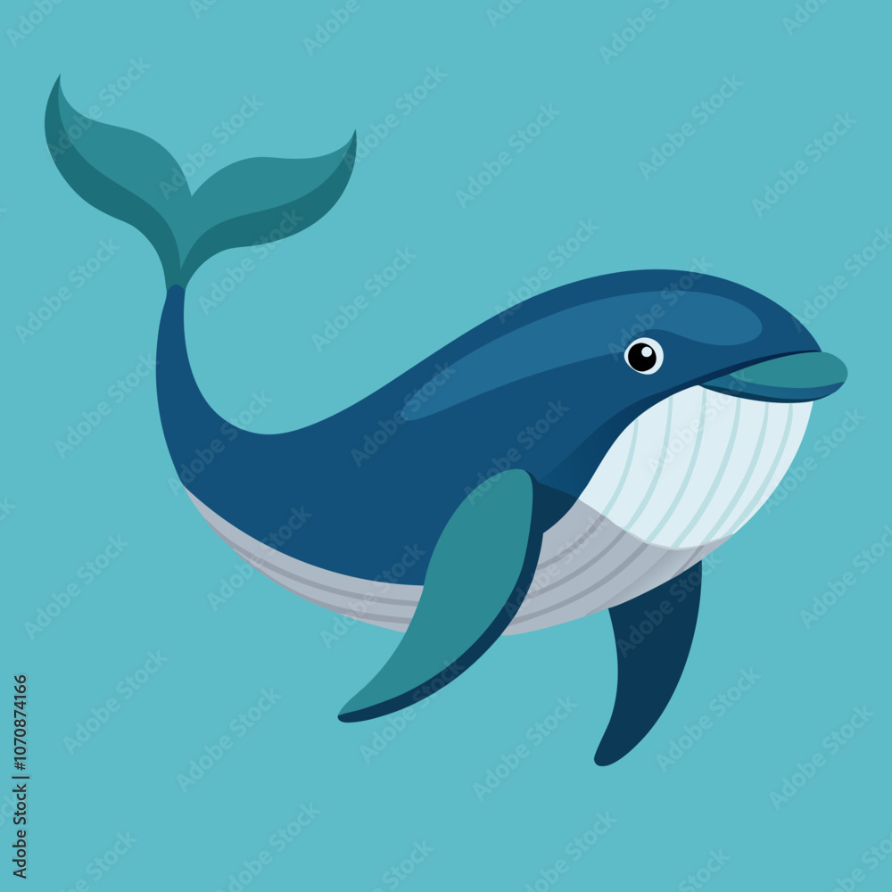 illustration of a cartoon shark illustration of a cartoon shark
