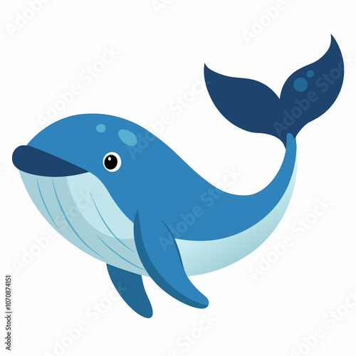 blue whale illustration