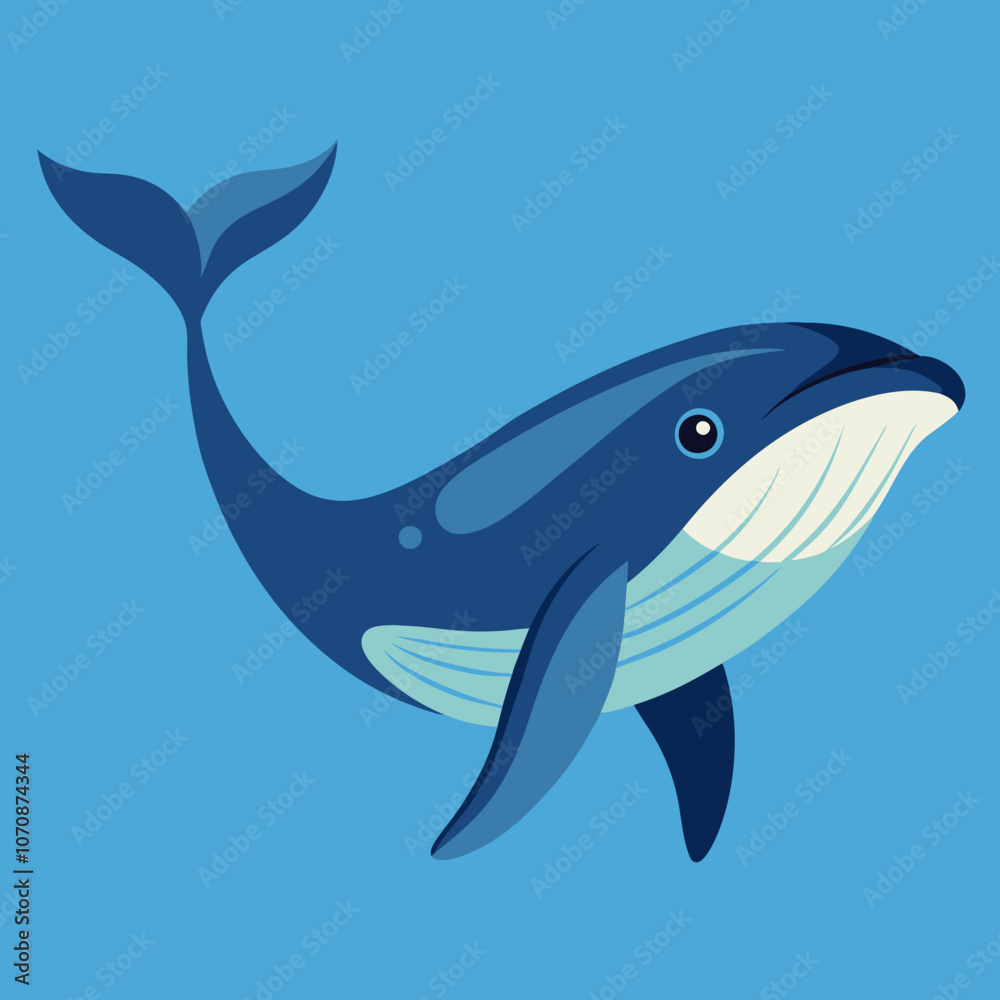 illustration of a cartoon shark illustration of a cartoon shark
