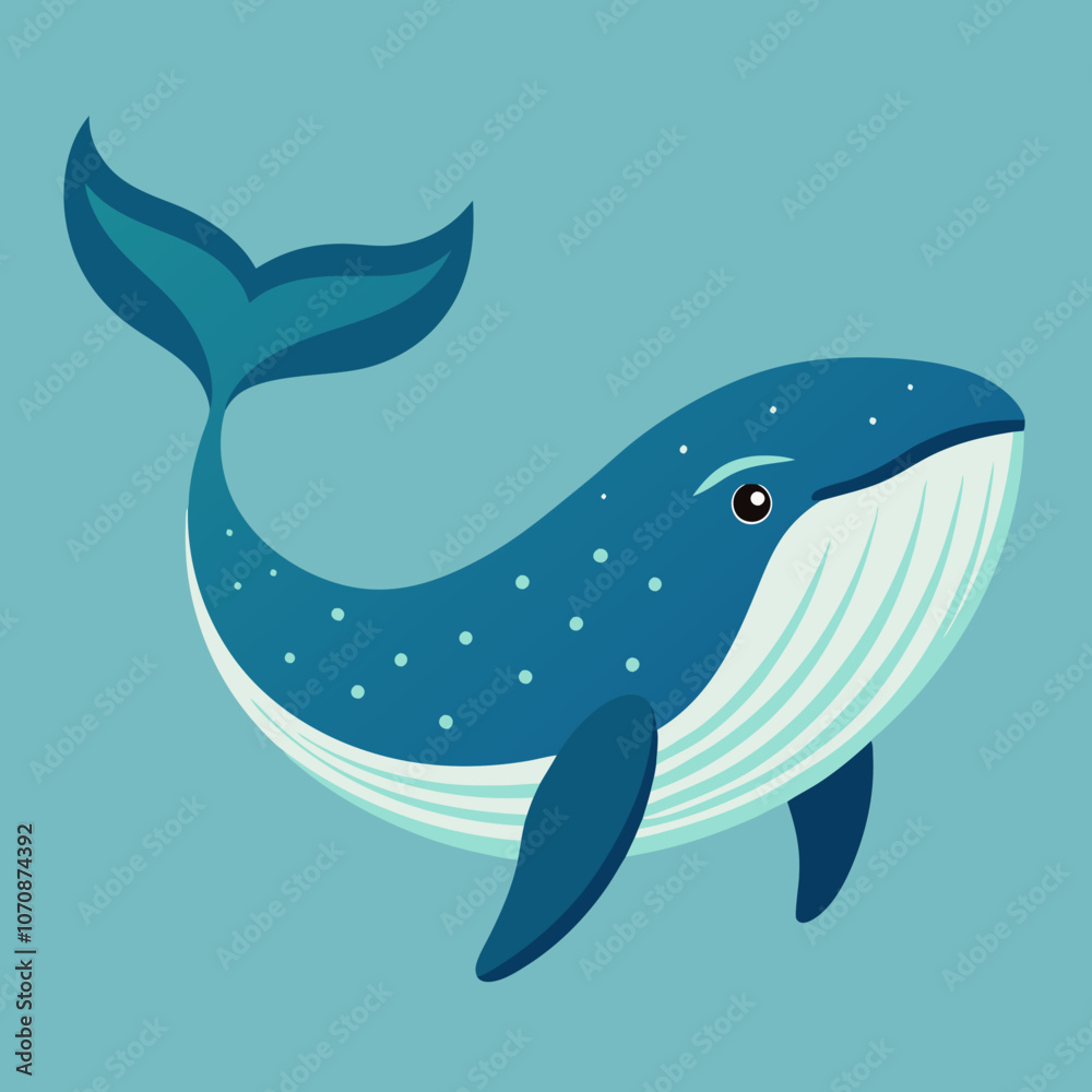 illustration of a cartoon shark illustration of a cartoon shark