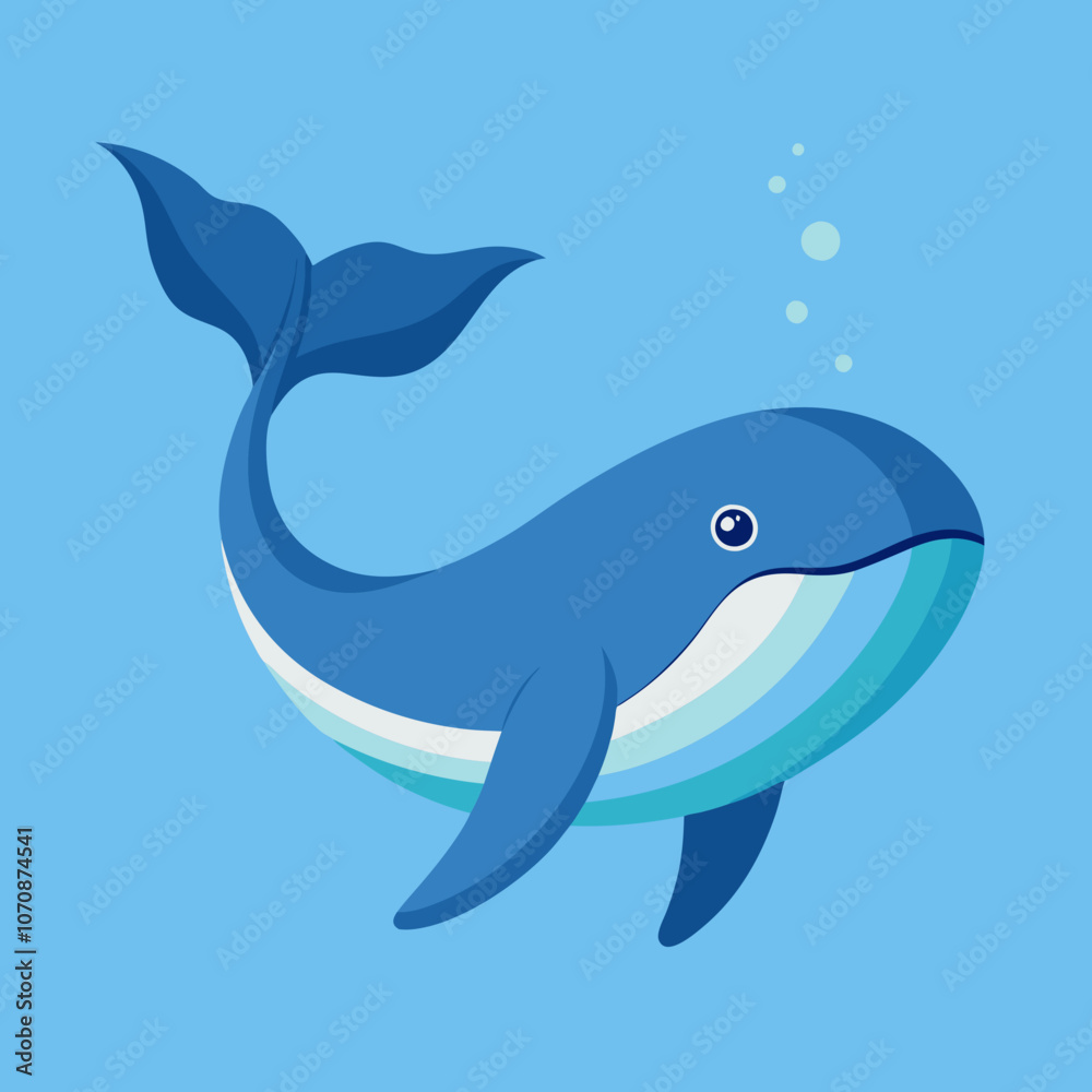 dolphin in the water