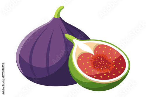 Fresh Fig Fruit Vector Illustration with a Juicy Slice