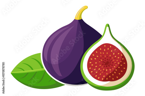 Fresh Fig Fruit Vector Illustration with a Juicy Slice