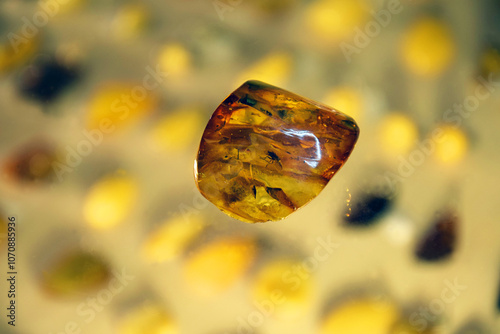 Rare amber stone with ancient inclusion of fossilezed fly, top view on the blurred background.