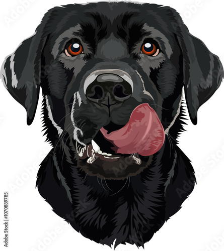 Happy black Labrador Retriever with a wet nose and a sticking out tongue, sitting on a white background. Vector illustration perfect for pet-related designs, greeting cards, and children's books