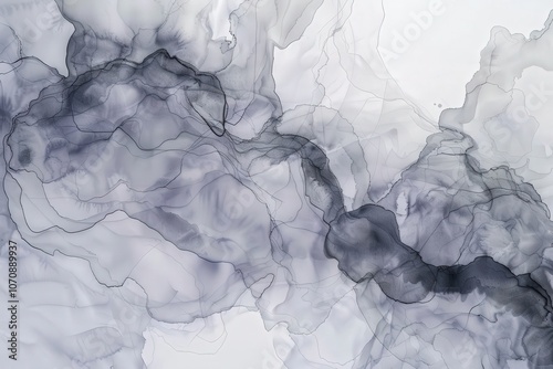 Abstract Grey and Black Ink Swirls on White Background photo