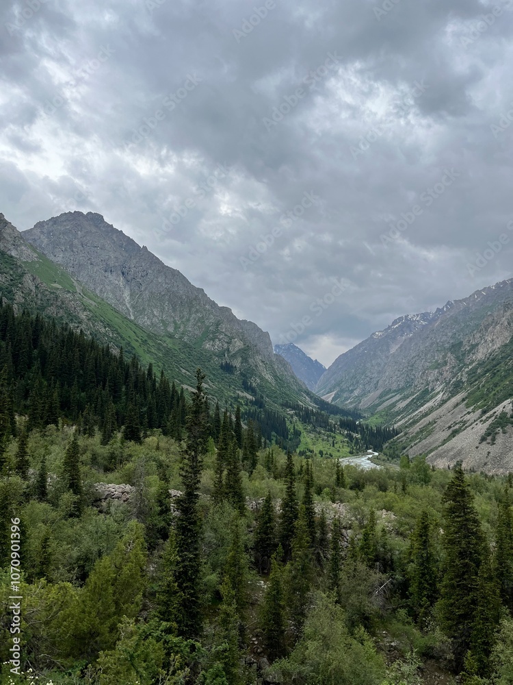 Fototapeta premium mountains and clouds