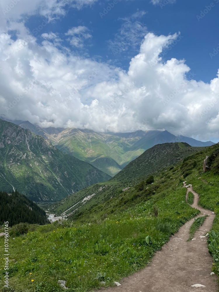 Naklejka premium Track in the mountains