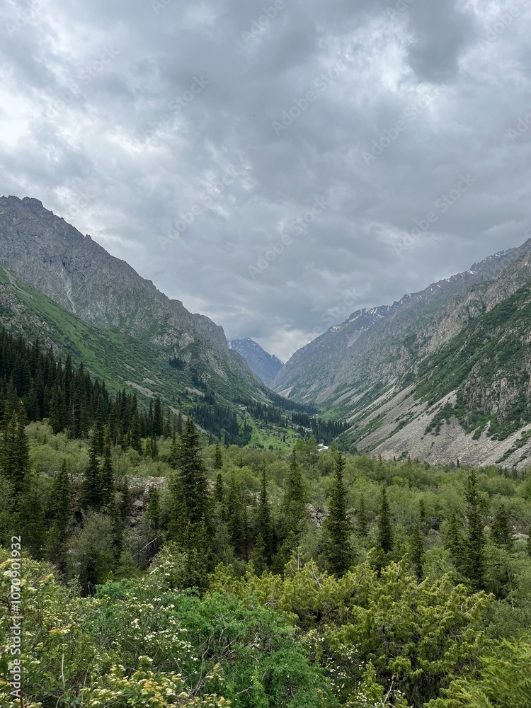 Fototapeta premium mountains in the mountains