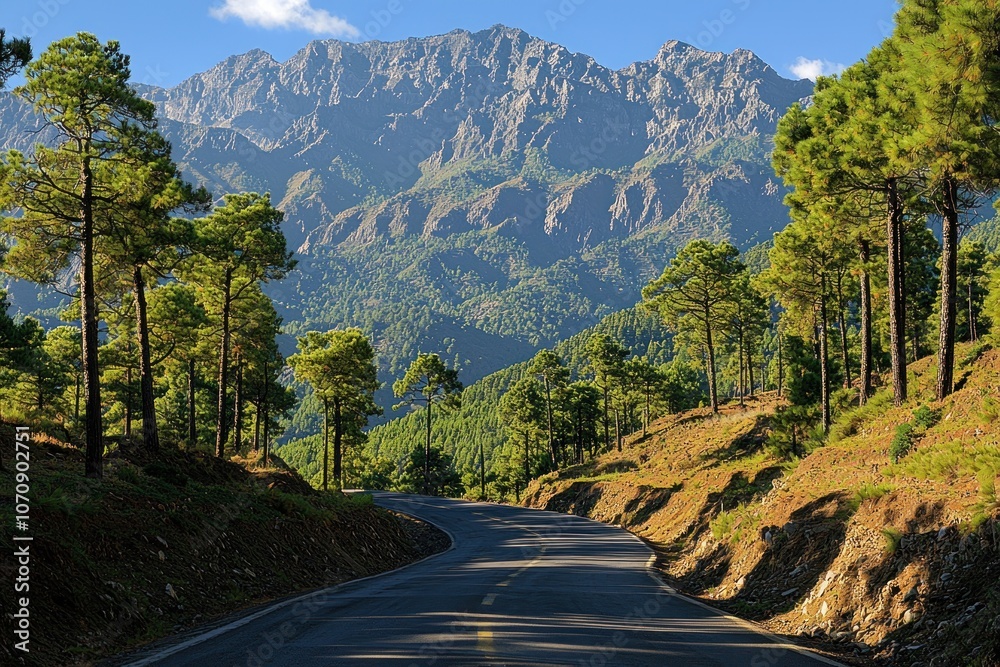 Naklejka premium Winding Mountain Road Through a Forest of Pine Trees