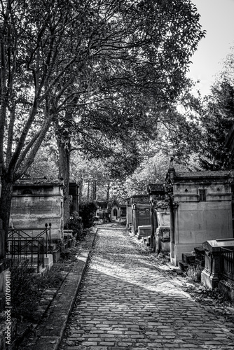 photographs of walks and tombstones from the Paris cemetery,