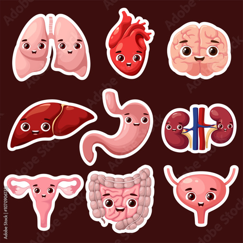 A set of stickers with cute organs. Cartoon style.