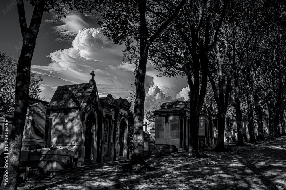 photographs of walks and tombstones from the Paris cemetery, photographs of walks and tombstones from the Paris cemetery,