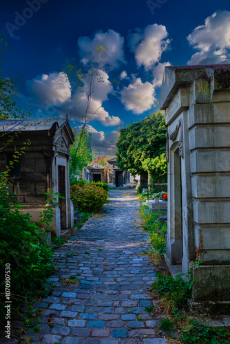 photographs of walks and tombstones from the Paris cemetery,