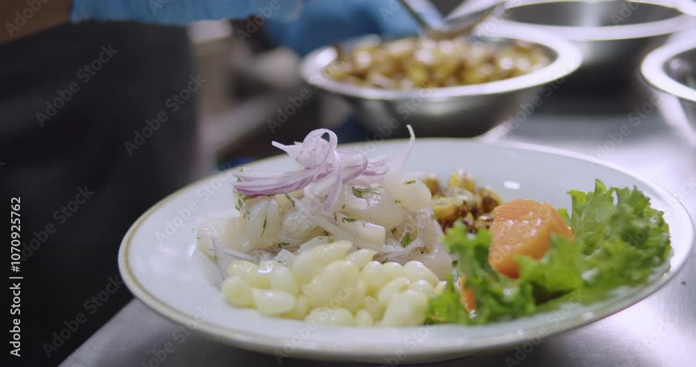 Preparing Authentic Peruvian Ceviche – Culinary Stock Video