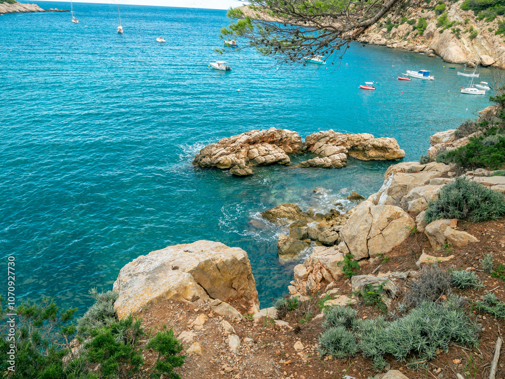 Fototapeta premium Ibiza Landscape - Shore, Nature