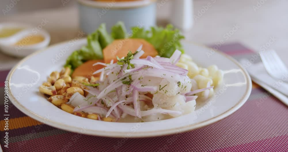 Close-Up of Authentic Peruvian Ceviche – High-Definition Culinary Footage Close-Up of Authentic Peruvian Ceviche – High-Definition Culinary Footage