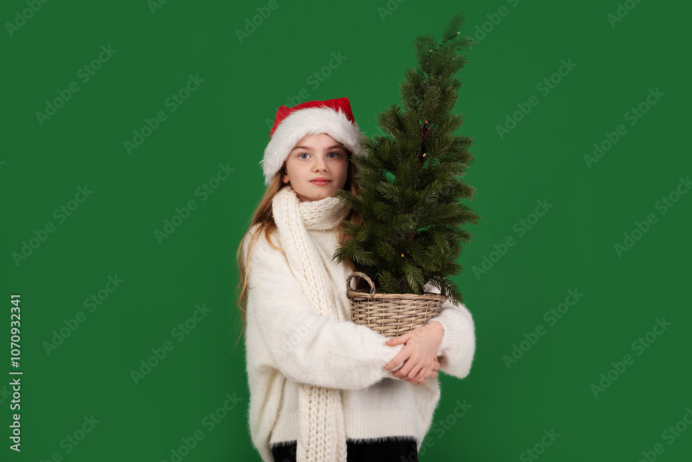 Girl in Santa hat holds small Christmas tree in basket against green background. Girl in Santa hat holds small Christmas tree in basket against green background.