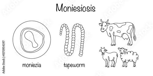 Moniesiosis
