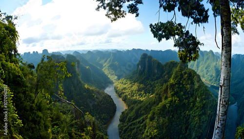 Dense Tropical Rainforest of Ulu Temburong National Park