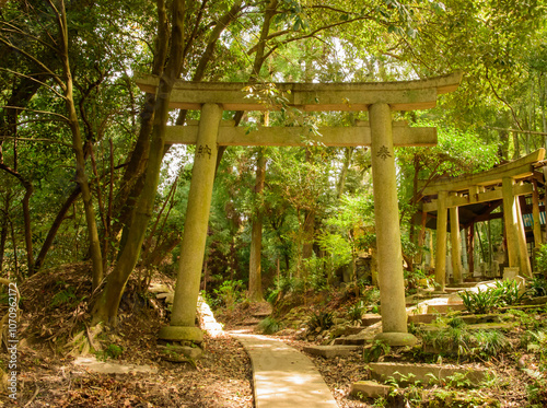 Fushimi Inari Taisha - Kyoto’s Iconic Shrine of Thousand Torii Gates. Taken in Japan, Kyoto, 04.2024. photo