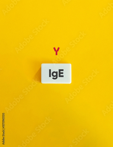 IgE Antibody Type Banner and Concept Image. Text on Block Letter Tile on Yellow Background. Minimal Aesthetic.