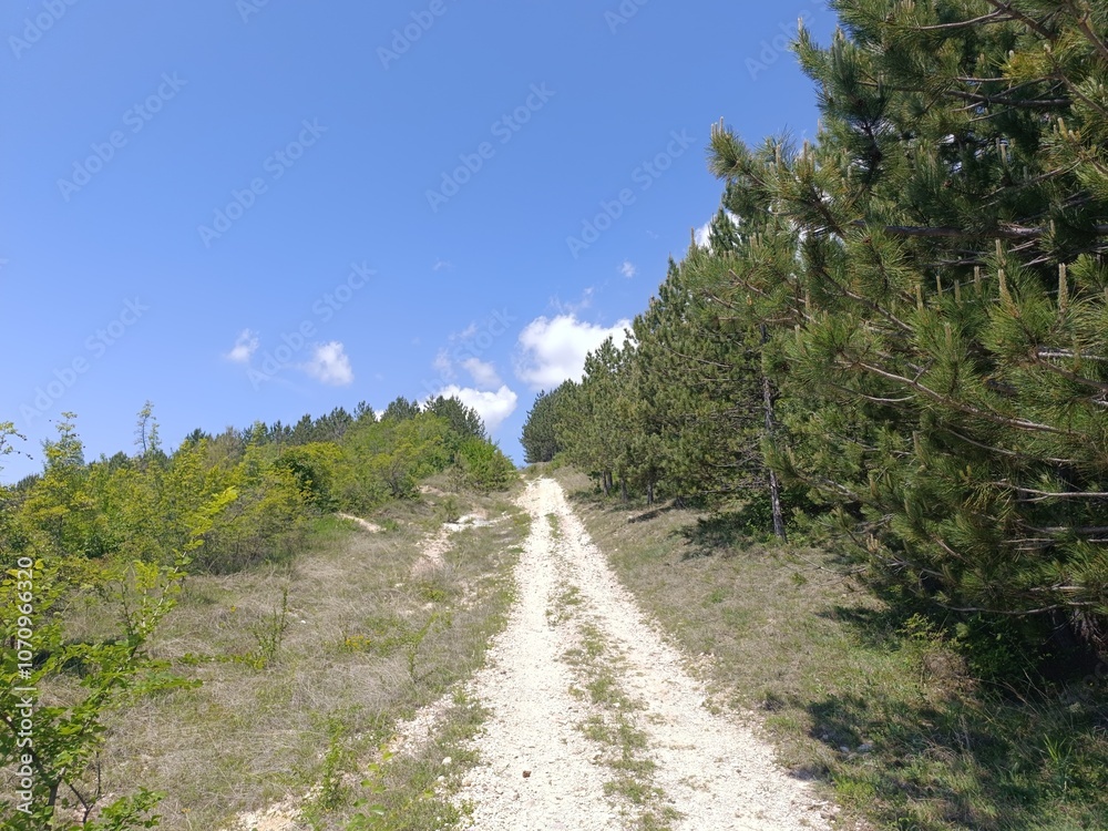 Obraz premium road in the mountains