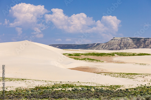 Killpecker Sand Dunes in southwestern Wyoming