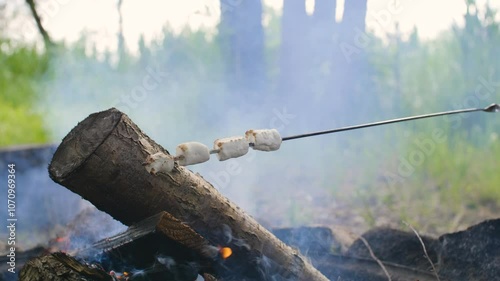 Marshmallows roasting on campfire at the campsite. Camping. Bonfire.