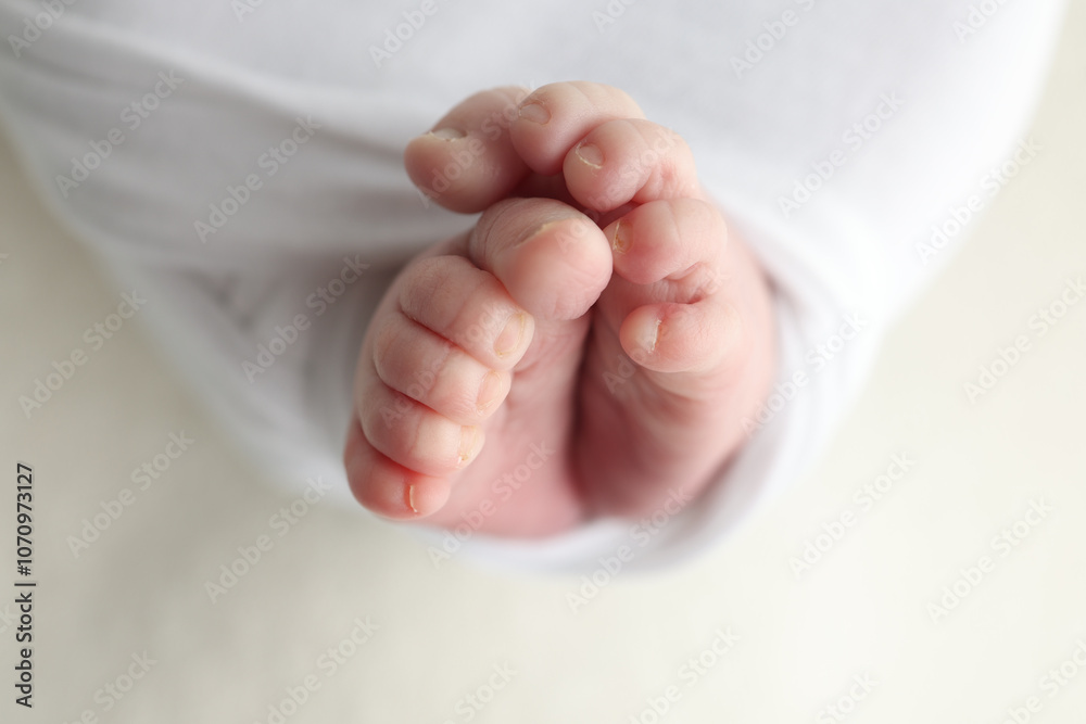 The tiny foot of a newborn. Soft feet of a newborn in a white blanket. Close up of toes, heels and feet of a newborn baby. Studio Macro photography. Woman's happiness. The tiny foot of a newborn. Soft feet of a newborn in a white blanket. Close up of toes, heels and feet of a newborn baby. Studio Macro photography. Woman's happiness.