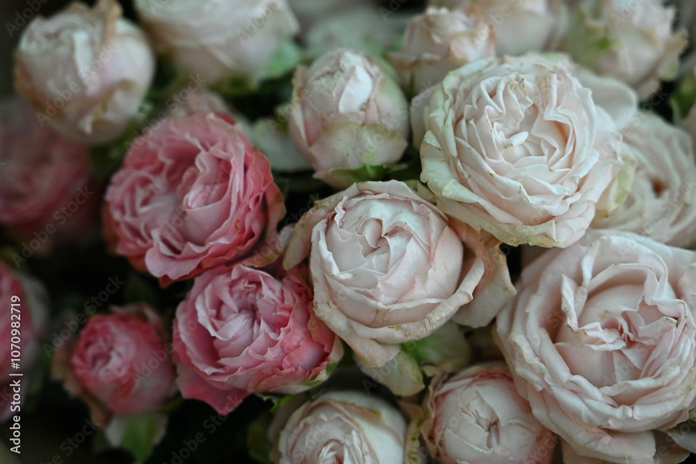 Beautiful White Floral Arrangement Beautiful White Floral Arrangement