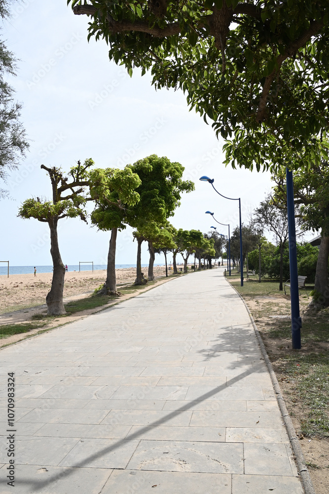 Serene Park with Flowering Plants and Trees Serene Park with Flowering Plants and Trees