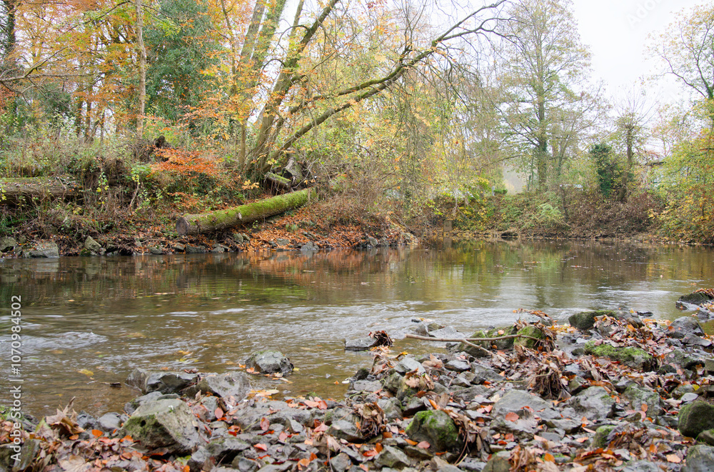 Fallen moss covered log next to a river in Autumn Fallen moss covered log next to a river in Autumn