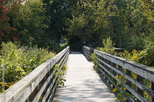 Wooden bridge in the forest near the sea during summer.