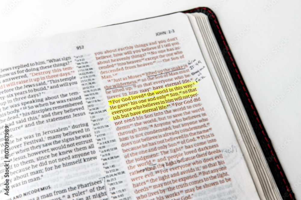 Fototapeta premium John 3:16 