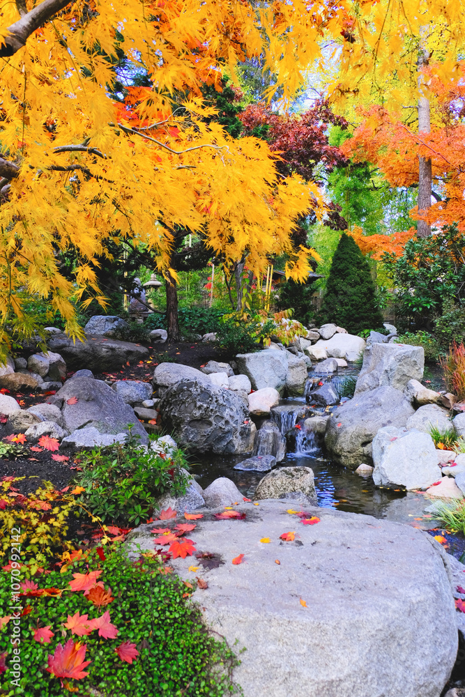 Waterfall through rocks with autumn leaves Waterfall through rocks with autumn leaves
