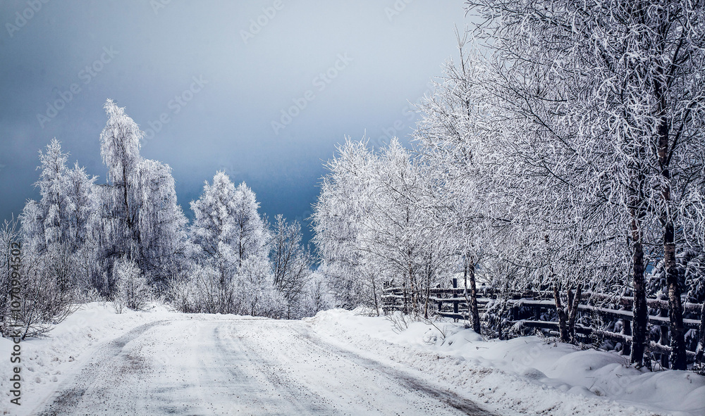 Fototapeta premium snowy winter landscape