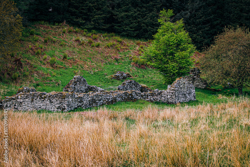 In Knapdale Forest, near the edge of Loch Coille Bharr, Argyll, Scotland you can discover the remains of the township called Kilmory Oib. One of the earliest known references is in the 1694 Hearth Tax photo