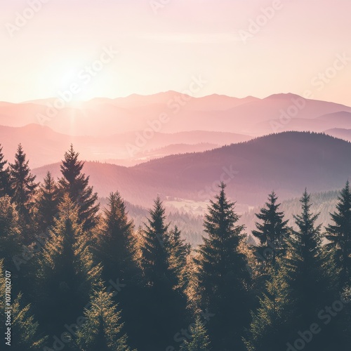 Misty Mountain Sunrise Landscape