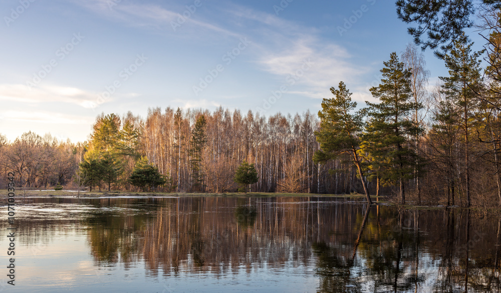 Fototapeta premium Lake with trees in the background