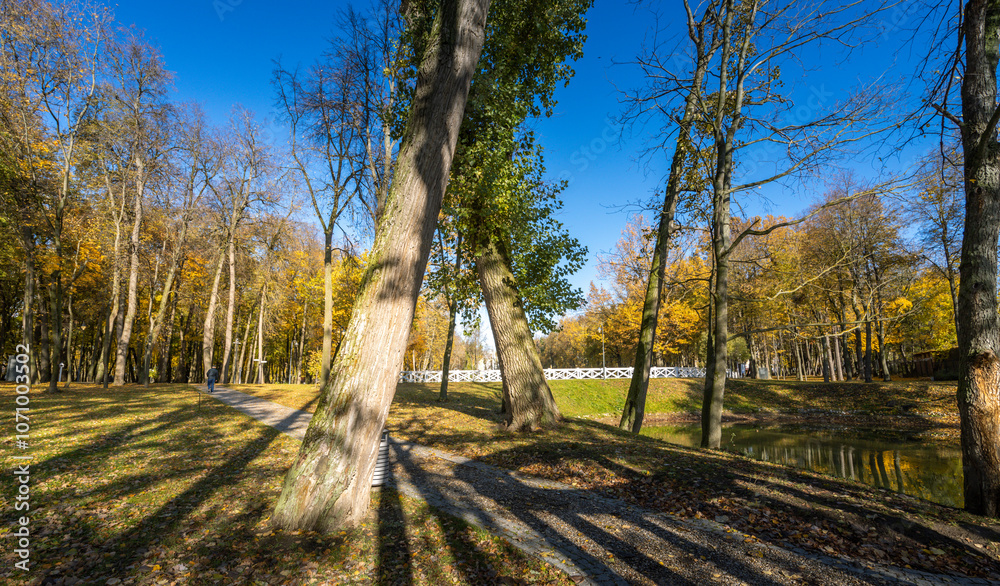 Fototapeta premium A park with trees and a pond