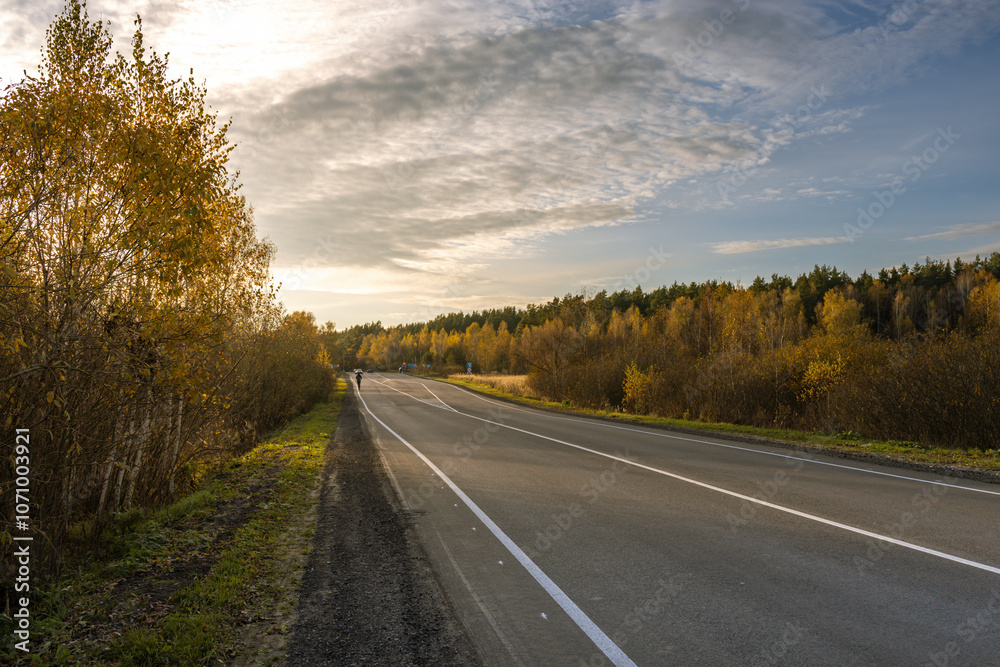 A road with trees on the side and a cloudy sky A road with trees on the side and a cloudy sky