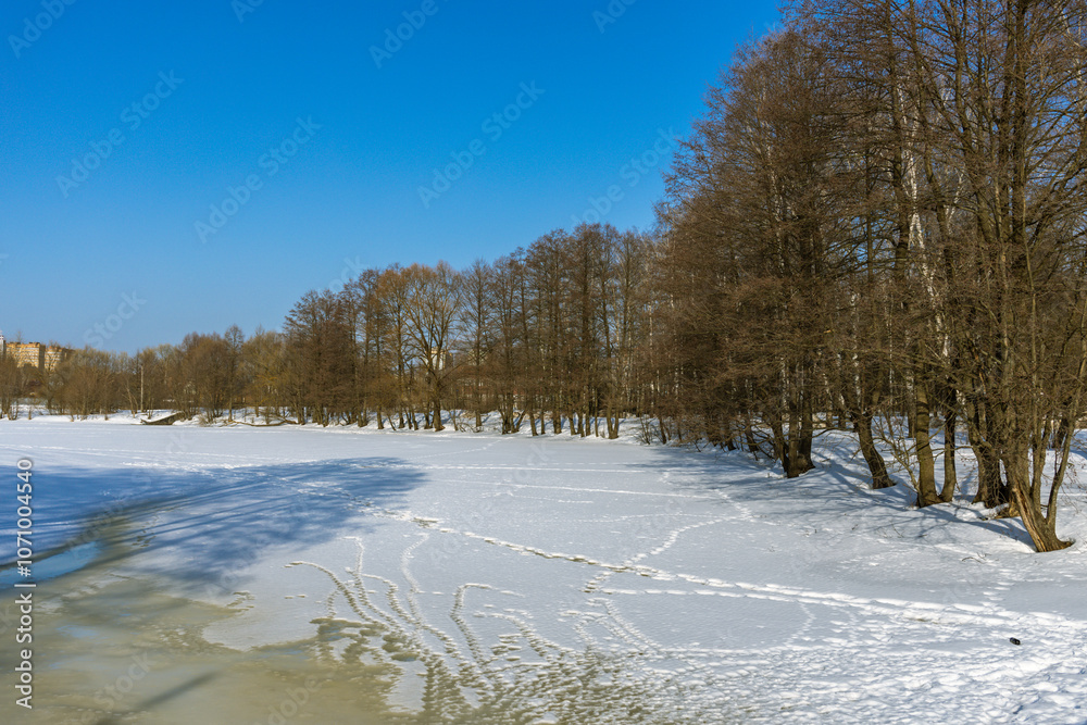 A snowy field with trees in the background A snowy field with trees in the background